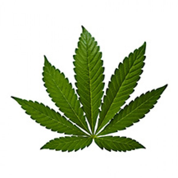 cannabis-categoria