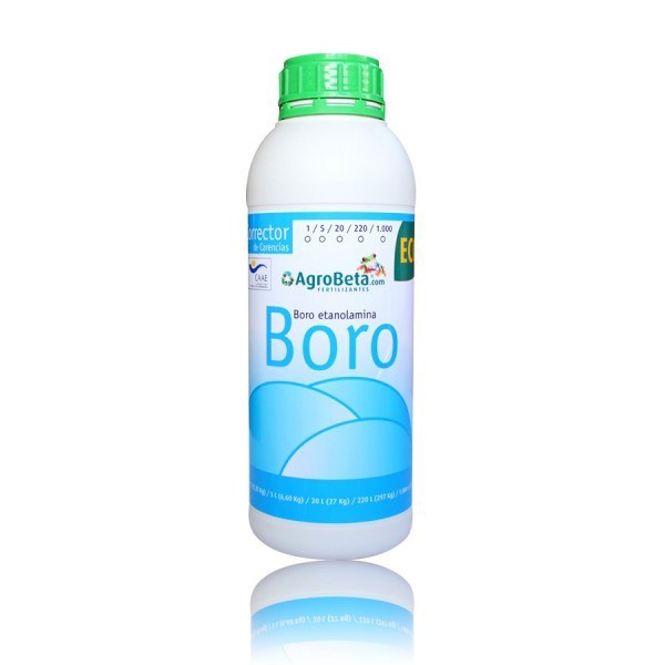 boro-01