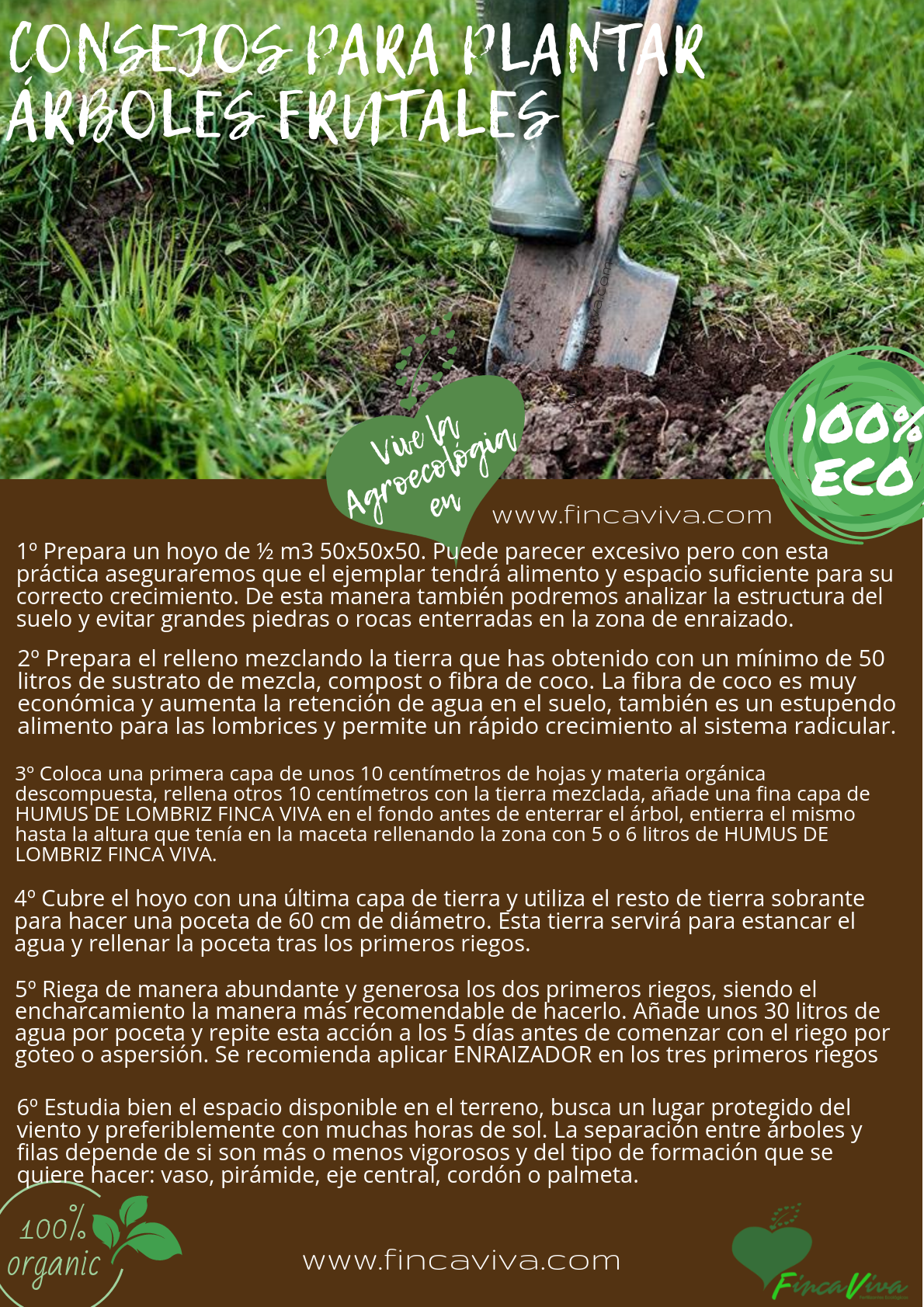 Consejos Finca Viva Plantar Arboles 2