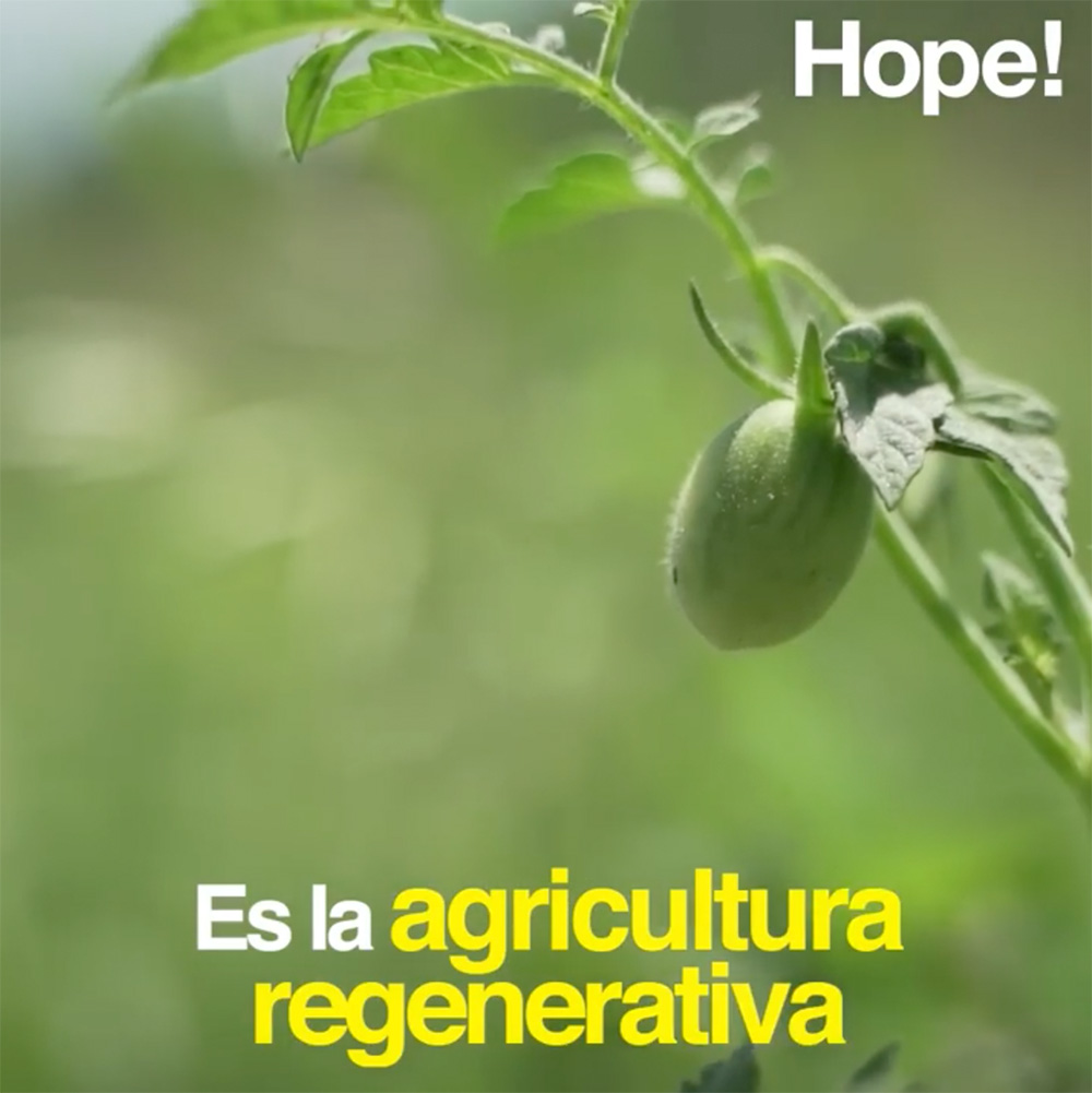 Agricultura Regenerativa