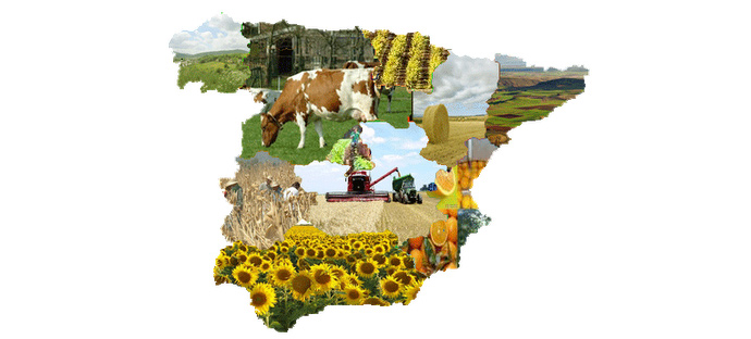 Sector Ecologico Crece