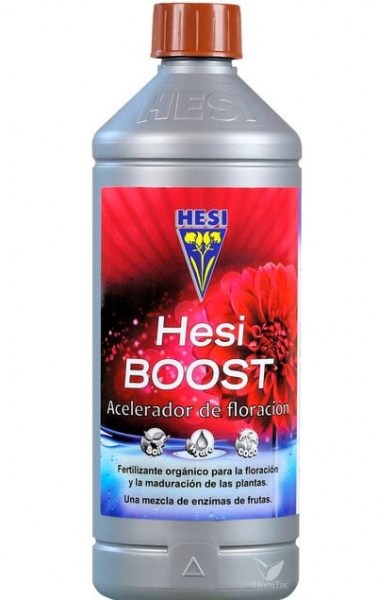 -hesi-boost4