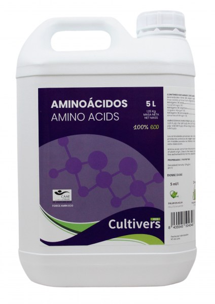 AMINOACIDO5L-1