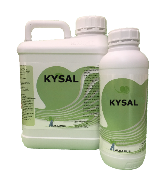 KYSAL