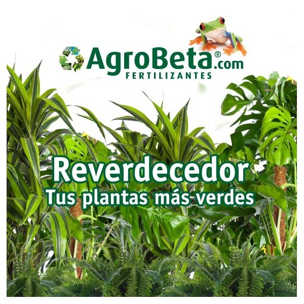 agrobeta-reverdecedor.7