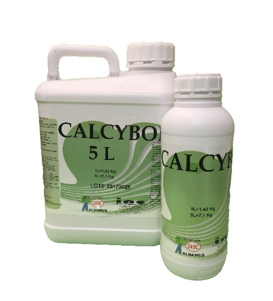 calcybor8