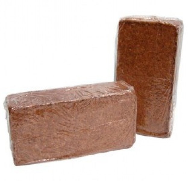 coco-ladrillo