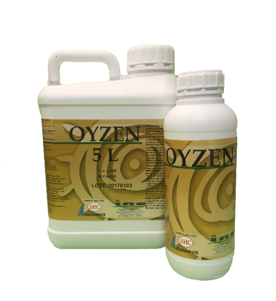 oyzen5